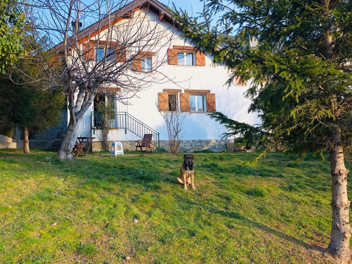Casa Con Jardin, 4 Habitaciones Y Mucho Encanto En Серседілья Екстер'єр фото
